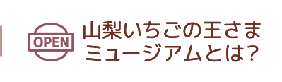 山梨いちごの王さまミュージアムとは？