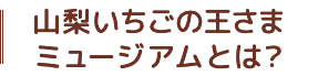 山梨いちごの王さまミュージアムとは？